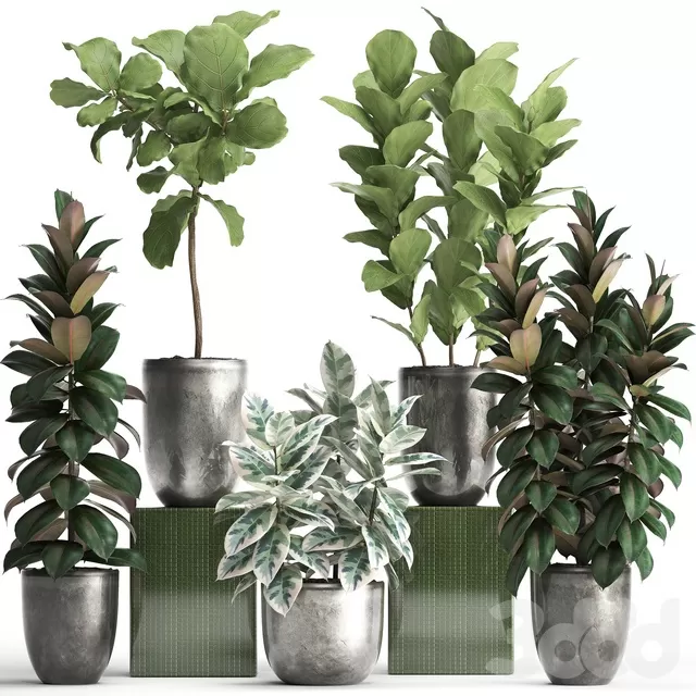 PLANTS – INDOOR – 3D MODELS – FREE DOWNLOAD – 16754 PLANTS – INDOOR – 3D MODELS – FREE DOWNLOAD – 16754