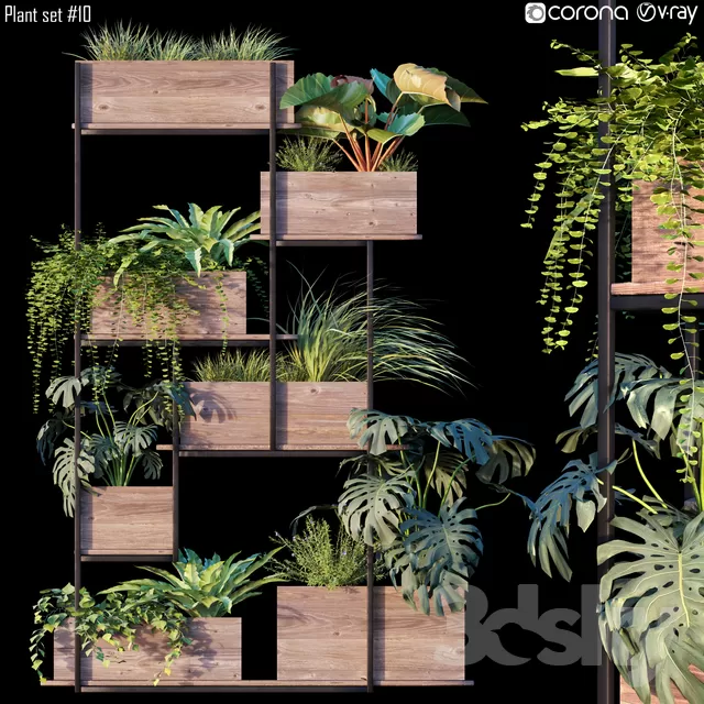 PLANTS – INDOOR – 3D MODELS – FREE DOWNLOAD – 16755 PLANTS – INDOOR – 3D MODELS – FREE DOWNLOAD – 16755