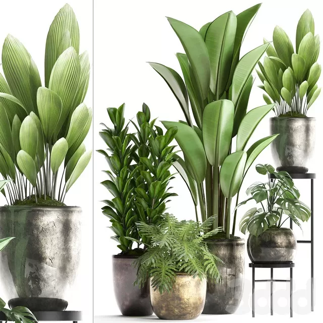 PLANTS – INDOOR – 3D MODELS – FREE DOWNLOAD – 16758 PLANTS – INDOOR – 3D MODELS – FREE DOWNLOAD – 16758