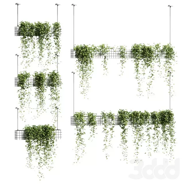 PLANTS – INDOOR – 3D MODELS – FREE DOWNLOAD – 16765 PLANTS – INDOOR – 3D MODELS – FREE DOWNLOAD – 16765