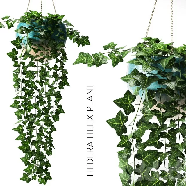 PLANTS – INDOOR – 3D MODELS – FREE DOWNLOAD – 16767 PLANTS – INDOOR – 3D MODELS – FREE DOWNLOAD – 16767