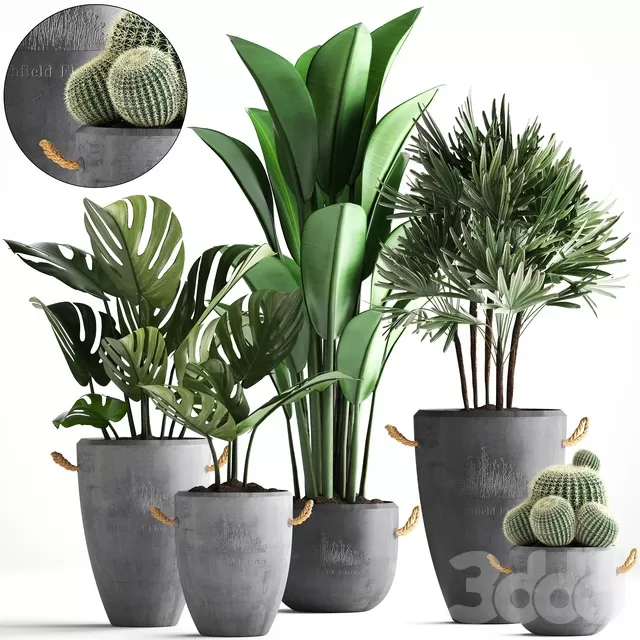 PLANTS – INDOOR – 3D MODELS – FREE DOWNLOAD – 16769 PLANTS – INDOOR – 3D MODELS – FREE DOWNLOAD – 16769