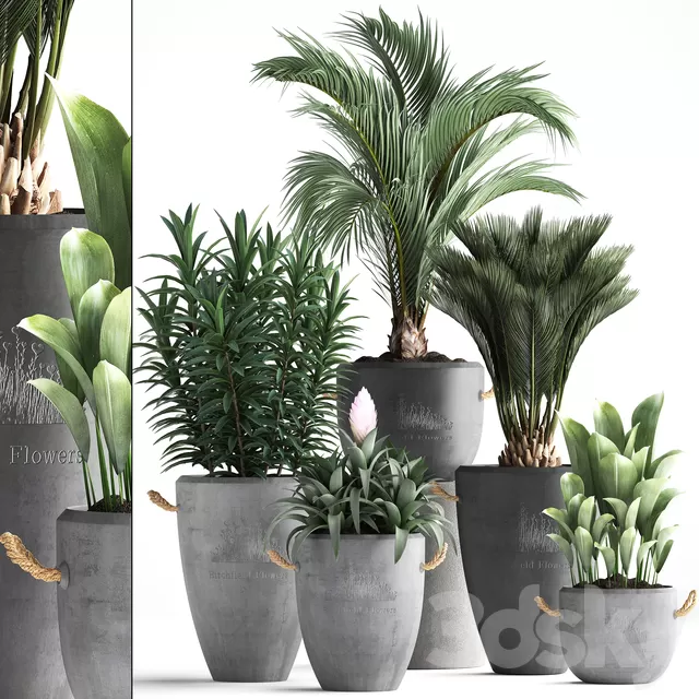 PLANTS – INDOOR – 3D MODELS – FREE DOWNLOAD – 16771 PLANTS – INDOOR – 3D MODELS – FREE DOWNLOAD – 16771