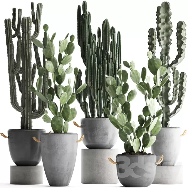 PLANTS – INDOOR – 3D MODELS – FREE DOWNLOAD – 16775 PLANTS – INDOOR – 3D MODELS – FREE DOWNLOAD – 16775