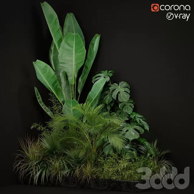 PLANTS – INDOOR – 3D MODELS – FREE DOWNLOAD – 16777 PLANTS – INDOOR – 3D MODELS – FREE DOWNLOAD – 16777