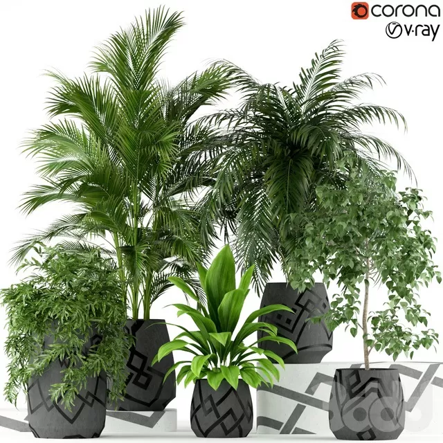 PLANTS – INDOOR – 3D MODELS – FREE DOWNLOAD – 16778 PLANTS – INDOOR – 3D MODELS – FREE DOWNLOAD – 16778