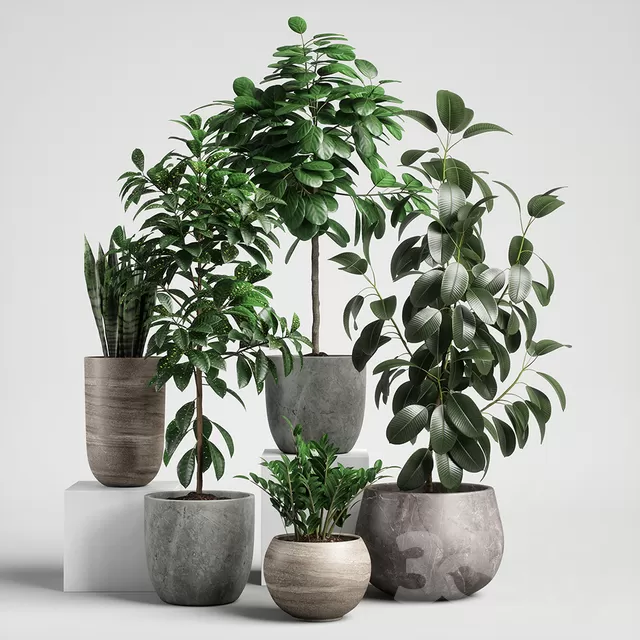PLANTS – INDOOR – 3D MODELS – FREE DOWNLOAD – 16784 PLANTS – INDOOR – 3D MODELS – FREE DOWNLOAD – 16784