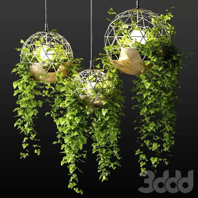 PLANTS – INDOOR – 3D MODELS – FREE DOWNLOAD – 16786 PLANTS – INDOOR – 3D MODELS – FREE DOWNLOAD – 16786
