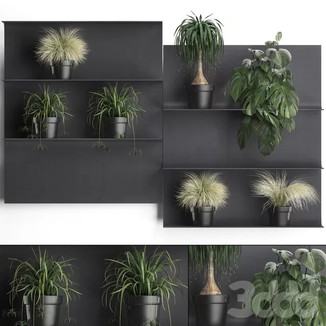 PLANTS – INDOOR – 3D MODELS – FREE DOWNLOAD – 16787 PLANTS – INDOOR – 3D MODELS – FREE DOWNLOAD – 16787