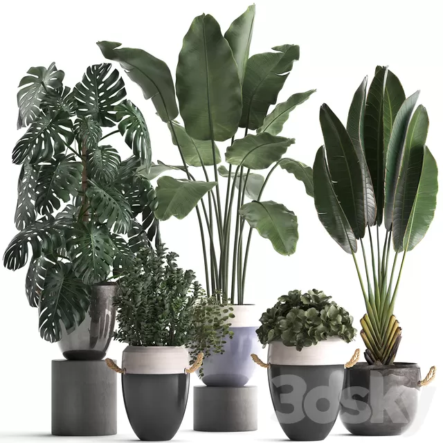 PLANTS – INDOOR – 3D MODELS – FREE DOWNLOAD – 16789 PLANTS – INDOOR – 3D MODELS – FREE DOWNLOAD – 16789