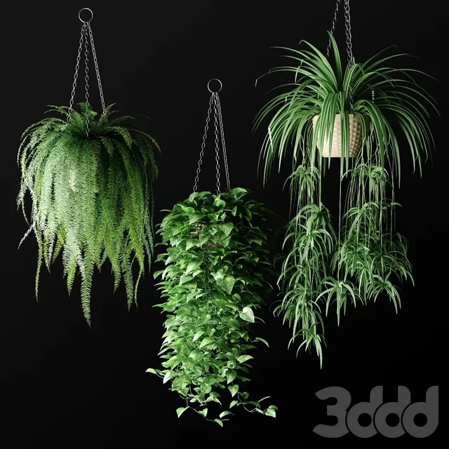 PLANTS – INDOOR – 3D MODELS – FREE DOWNLOAD – 16790 PLANTS – INDOOR – 3D MODELS – FREE DOWNLOAD – 16790
