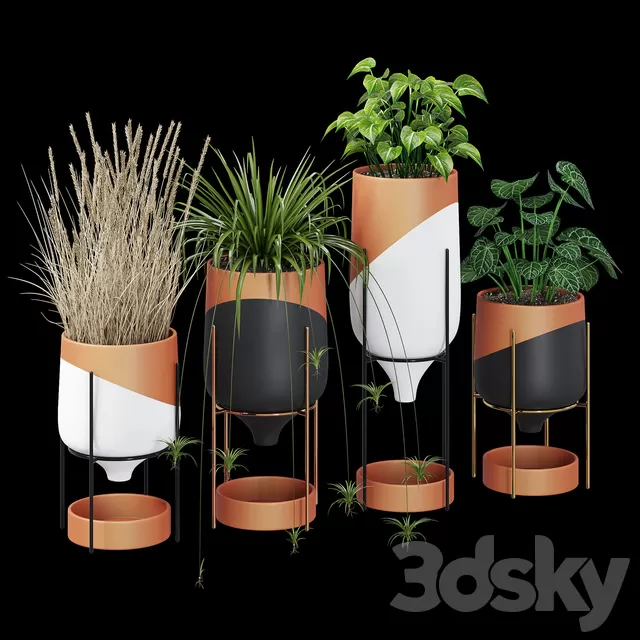 PLANTS – INDOOR – 3D MODELS – FREE DOWNLOAD – 16791 PLANTS – INDOOR – 3D MODELS – FREE DOWNLOAD – 16791