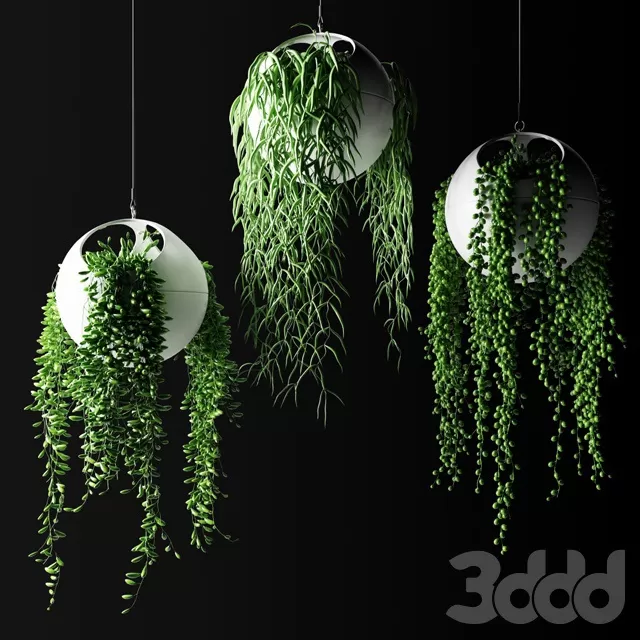 PLANTS – INDOOR – 3D MODELS – FREE DOWNLOAD – 16792 PLANTS – INDOOR – 3D MODELS – FREE DOWNLOAD – 16792