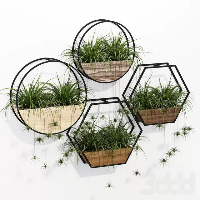 PLANTS – INDOOR – 3D MODELS – FREE DOWNLOAD – 16794 PLANTS – INDOOR – 3D MODELS – FREE DOWNLOAD – 16794