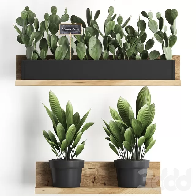 PLANTS – INDOOR – 3D MODELS – FREE DOWNLOAD – 16797 PLANTS – INDOOR – 3D MODELS – FREE DOWNLOAD – 16797