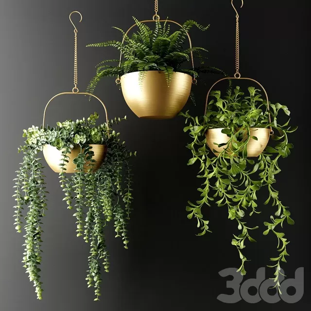 PLANTS – INDOOR – 3D MODELS – FREE DOWNLOAD – 16798 PLANTS – INDOOR – 3D MODELS – FREE DOWNLOAD – 16798