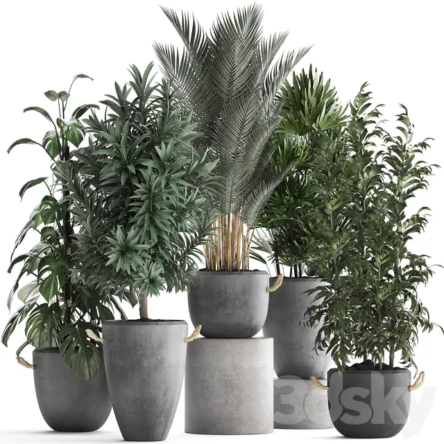 PLANTS – INDOOR – 3D MODELS – FREE DOWNLOAD – 16802 PLANTS – INDOOR – 3D MODELS – FREE DOWNLOAD – 16802