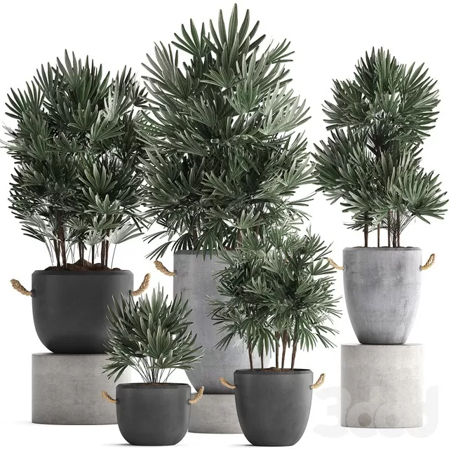 PLANTS – INDOOR – 3D MODELS – FREE DOWNLOAD – 16803 PLANTS – INDOOR – 3D MODELS – FREE DOWNLOAD – 16803