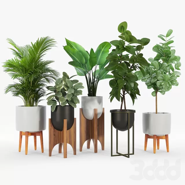 PLANTS – INDOOR – 3D MODELS – FREE DOWNLOAD – 16804 PLANTS – INDOOR – 3D MODELS – FREE DOWNLOAD – 16804