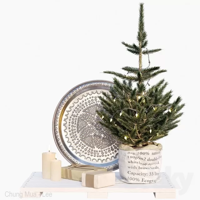 PLANTS – INDOOR – 3D MODELS – FREE DOWNLOAD – 16819 PLANTS – INDOOR – 3D MODELS – FREE DOWNLOAD – 16819