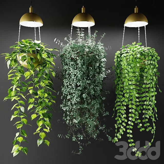 PLANTS – INDOOR – 3D MODELS – FREE DOWNLOAD – 16824 PLANTS – INDOOR – 3D MODELS – FREE DOWNLOAD – 16824