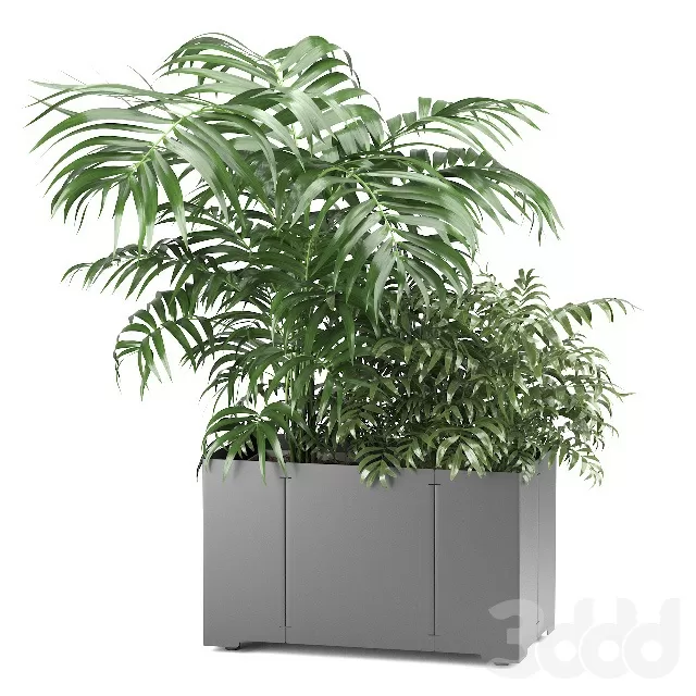 PLANTS – INDOOR – 3D MODELS – FREE DOWNLOAD – 16826 PLANTS – INDOOR – 3D MODELS – FREE DOWNLOAD – 16826