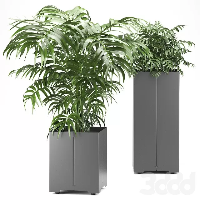 PLANTS – INDOOR – 3D MODELS – FREE DOWNLOAD – 16827 PLANTS – INDOOR – 3D MODELS – FREE DOWNLOAD – 16827