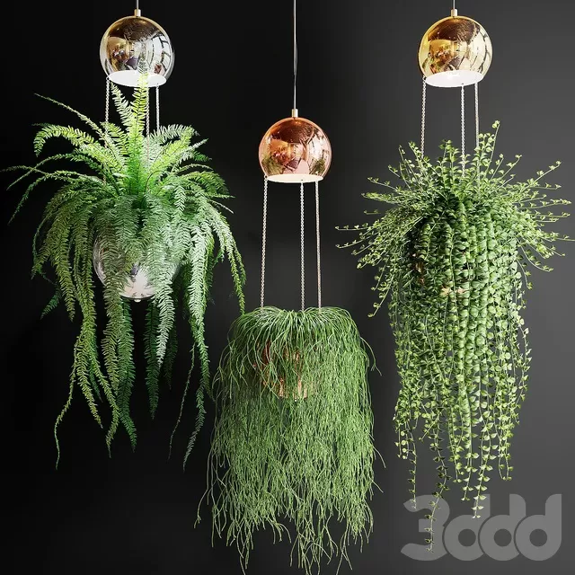 PLANTS – INDOOR – 3D MODELS – FREE DOWNLOAD – 16829 PLANTS – INDOOR – 3D MODELS – FREE DOWNLOAD – 16829