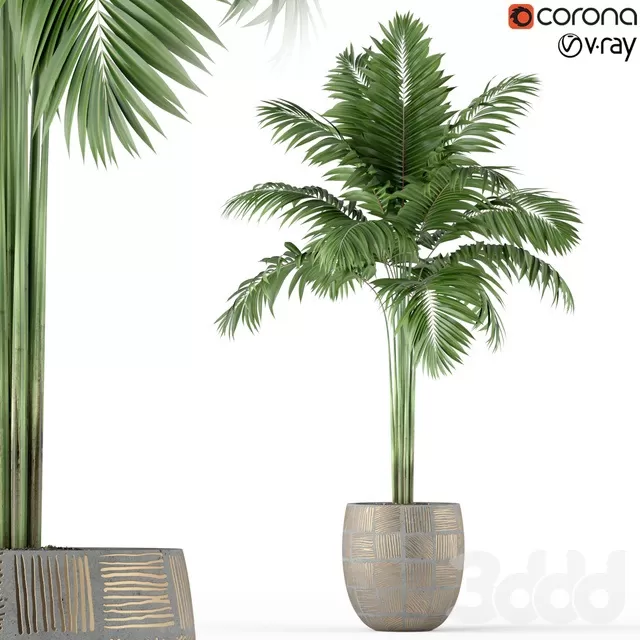 PLANTS – INDOOR – 3D MODELS – FREE DOWNLOAD – 16833 PLANTS – INDOOR – 3D MODELS – FREE DOWNLOAD – 16833