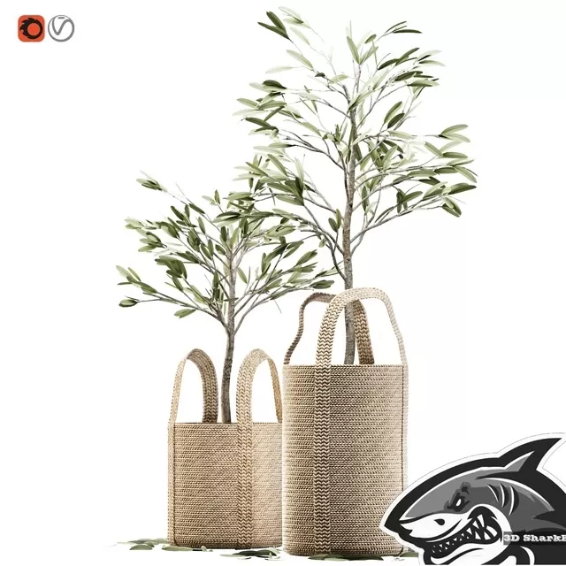 PLANTS – INDOOR – 3D MODELS – FREE DOWNLOAD – 16835 PLANTS – INDOOR – 3D MODELS – FREE DOWNLOAD – 16835