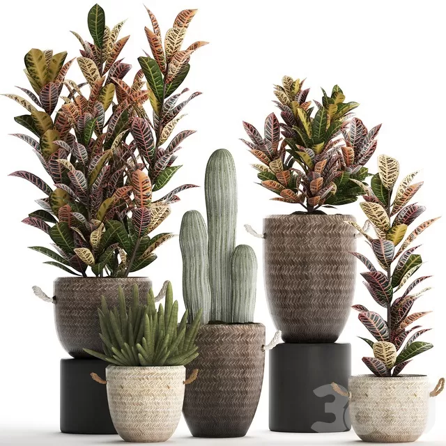 PLANTS – INDOOR – 3D MODELS – FREE DOWNLOAD – 16836 PLANTS – INDOOR – 3D MODELS – FREE DOWNLOAD – 16836