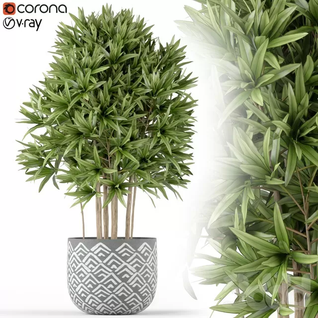 PLANTS – INDOOR – 3D MODELS – FREE DOWNLOAD – 16838 PLANTS – INDOOR – 3D MODELS – FREE DOWNLOAD – 16838