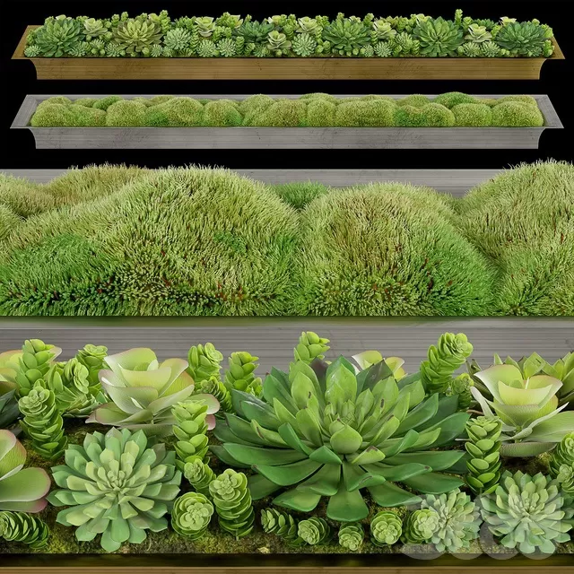 PLANTS – INDOOR – 3D MODELS – FREE DOWNLOAD – 16840 PLANTS – INDOOR – 3D MODELS – FREE DOWNLOAD – 16840