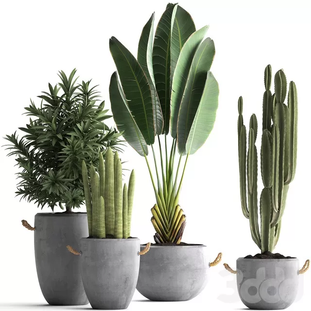 PLANTS – INDOOR – 3D MODELS – FREE DOWNLOAD – 16841 PLANTS – INDOOR – 3D MODELS – FREE DOWNLOAD – 16841