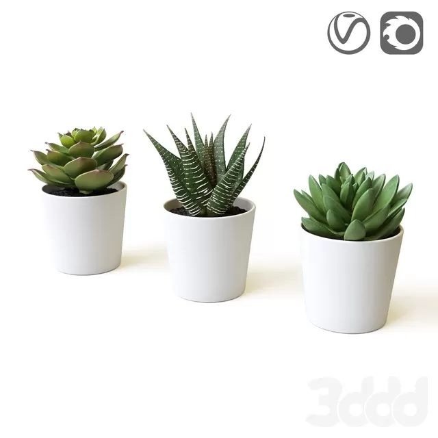 PLANTS – INDOOR – 3D MODELS – FREE DOWNLOAD – 16846 PLANTS – INDOOR – 3D MODELS – FREE DOWNLOAD – 16846