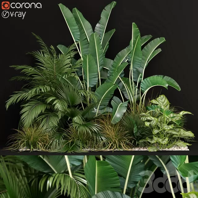 PLANTS – INDOOR – 3D MODELS – FREE DOWNLOAD – 16848 PLANTS – INDOOR – 3D MODELS – FREE DOWNLOAD – 16848