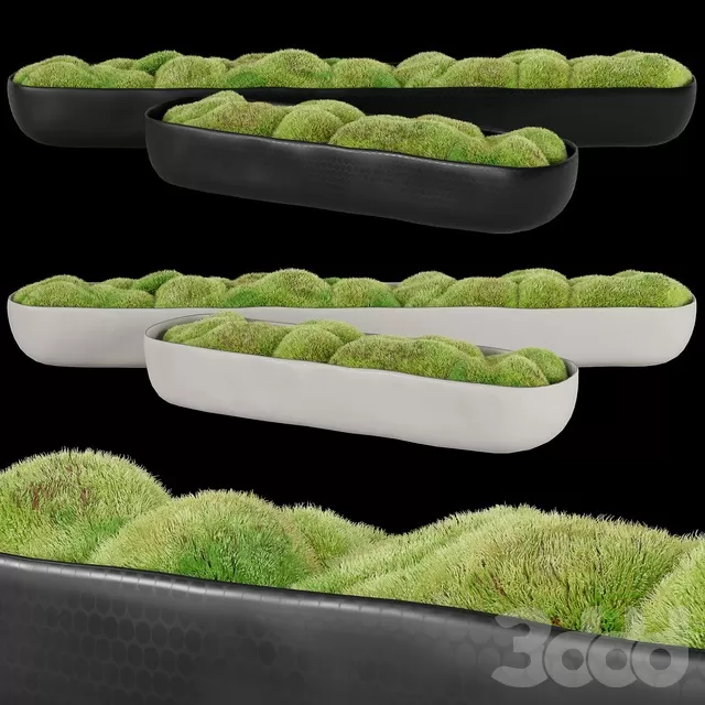 PLANTS – INDOOR – 3D MODELS – FREE DOWNLOAD – 16852 PLANTS – INDOOR – 3D MODELS – FREE DOWNLOAD – 16852