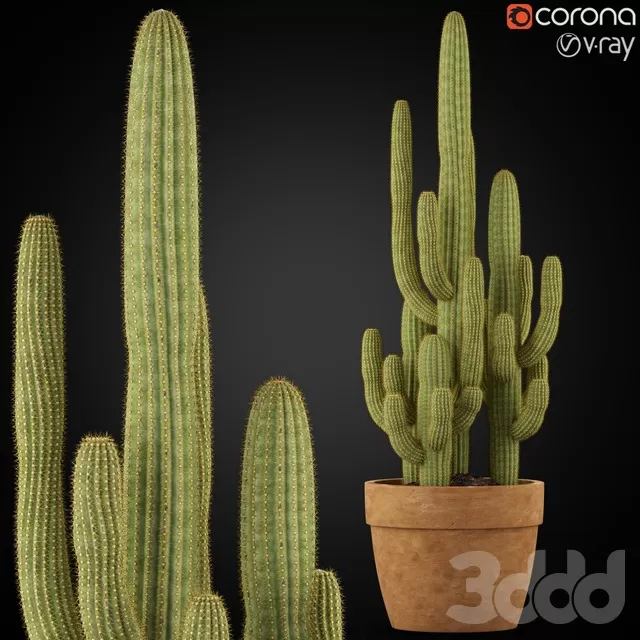 PLANTS – INDOOR – 3D MODELS – FREE DOWNLOAD – 16856 PLANTS – INDOOR – 3D MODELS – FREE DOWNLOAD – 16856