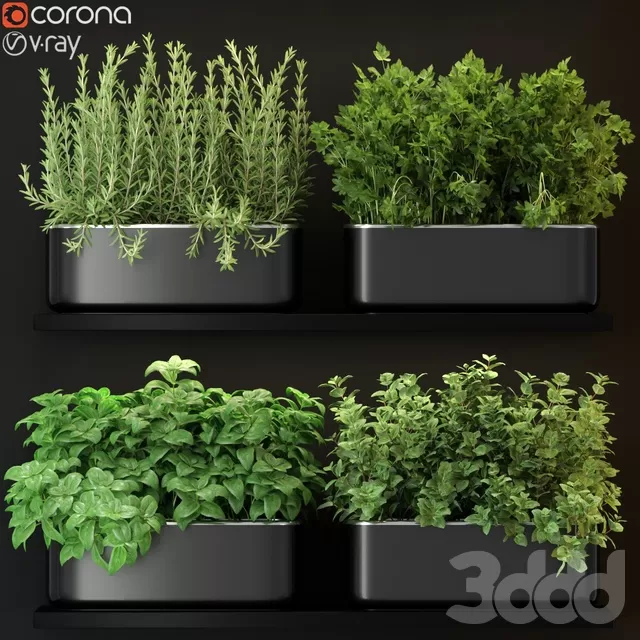 PLANTS – INDOOR – 3D MODELS – FREE DOWNLOAD – 16858 PLANTS – INDOOR – 3D MODELS – FREE DOWNLOAD – 16858