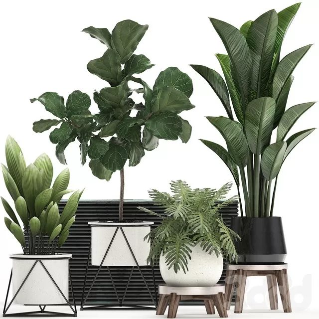 PLANTS – INDOOR – 3D MODELS – FREE DOWNLOAD – 16862 PLANTS – INDOOR – 3D MODELS – FREE DOWNLOAD – 16862