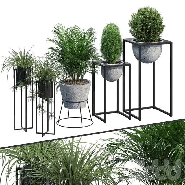 PLANTS – INDOOR – 3D MODELS – FREE DOWNLOAD – 16864 PLANTS – INDOOR – 3D MODELS – FREE DOWNLOAD – 16864