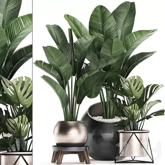 PLANTS – INDOOR – 3D MODELS – FREE DOWNLOAD – 16866 PLANTS – INDOOR – 3D MODELS – FREE DOWNLOAD – 16866