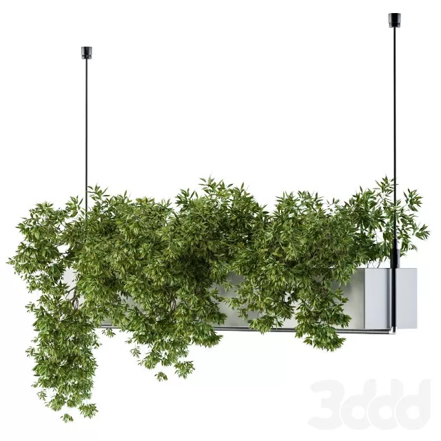PLANTS – INDOOR – 3D MODELS – FREE DOWNLOAD – 16867 PLANTS – INDOOR – 3D MODELS – FREE DOWNLOAD – 16867
