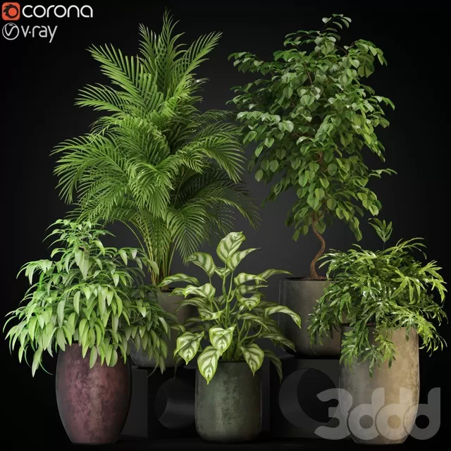 PLANTS – INDOOR – 3D MODELS – FREE DOWNLOAD – 16868 PLANTS – INDOOR – 3D MODELS – FREE DOWNLOAD – 16868
