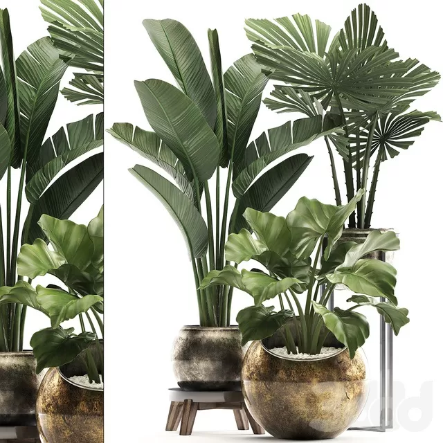 PLANTS – INDOOR – 3D MODELS – FREE DOWNLOAD – 16869 PLANTS – INDOOR – 3D MODELS – FREE DOWNLOAD – 16869