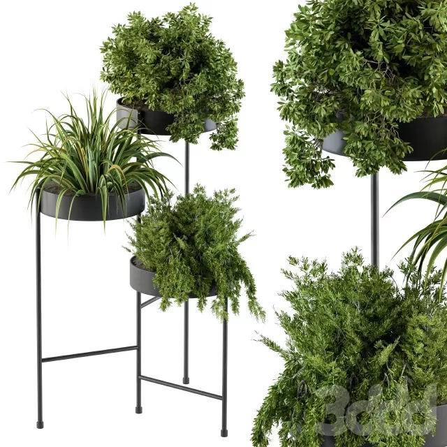 PLANTS – INDOOR – 3D MODELS – FREE DOWNLOAD – 16870 PLANTS – INDOOR – 3D MODELS – FREE DOWNLOAD – 16870
