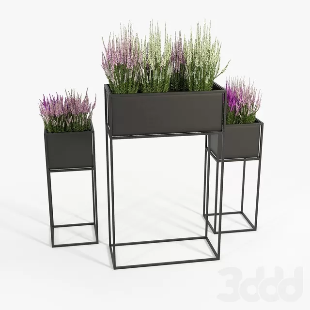 PLANTS – INDOOR – 3D MODELS – FREE DOWNLOAD – 16873 PLANTS – INDOOR – 3D MODELS – FREE DOWNLOAD – 16873