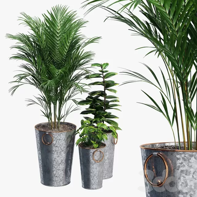 PLANTS – INDOOR – 3D MODELS – FREE DOWNLOAD – 16874 PLANTS – INDOOR – 3D MODELS – FREE DOWNLOAD – 16874