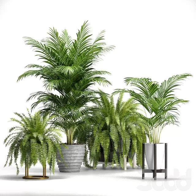 PLANTS – INDOOR – 3D MODELS – FREE DOWNLOAD – 16877 PLANTS – INDOOR – 3D MODELS – FREE DOWNLOAD – 16877