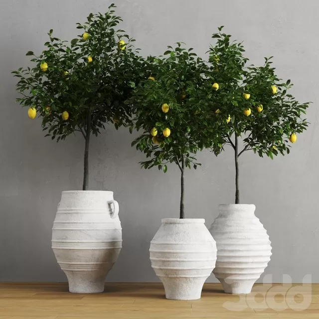 PLANTS – INDOOR – 3D MODELS – FREE DOWNLOAD – 16879 PLANTS – INDOOR – 3D MODELS – FREE DOWNLOAD – 16879